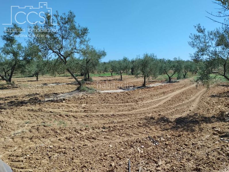 Foto e8854d0b-1f92-40d5-b9e5-c0e434b41423. Finca rústica a Almonte Almonte