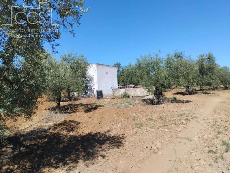 Foto 2a15ae1b-2c36-42fb-b5d2-04202ed00d2d. Fondo rustico in Almonte Almonte