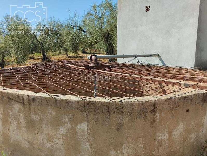 Foto 434d8bd8-a245-4733-b295-6b7390f8709f. Fondo rustico in Almonte Almonte