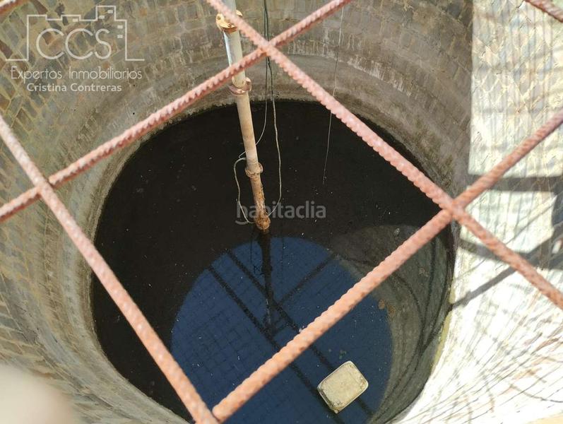 Foto e0855416-62af-42fe-a219-f9f88b7c10f5. Fondo rustico in Almonte Almonte