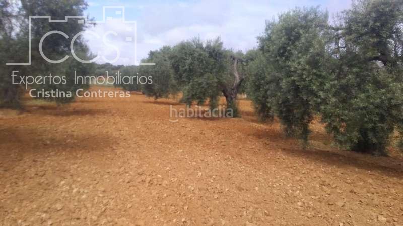 Foto 6c8b7478-abe5-4e05-bcf0-0c38524c01ca. Finca rústica a Almonte Almonte