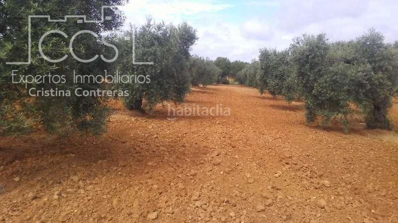 Foto 9324bc8e-dcfe-4efc-9f87-9133e896ba16. Finca rústica a Almonte Almonte