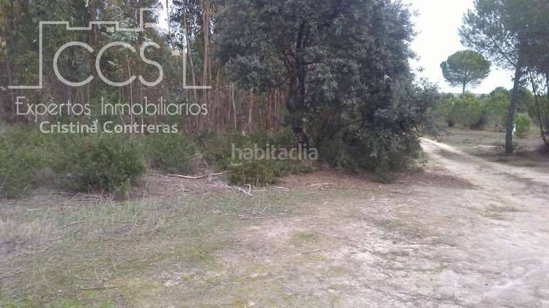 Foto 104d41c1-63fd-48d8-ae34-18637b24599d. Finca rústica a Almonte Almonte