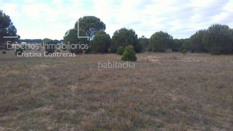 Foto 20e7d10c-745e-4c75-8f04-fb39739770e1. Finca rústica a Almonte Almonte
