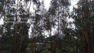 Landgut in Almonte. Venta de finca de 68.100 m2, en almonte. en propiedad.