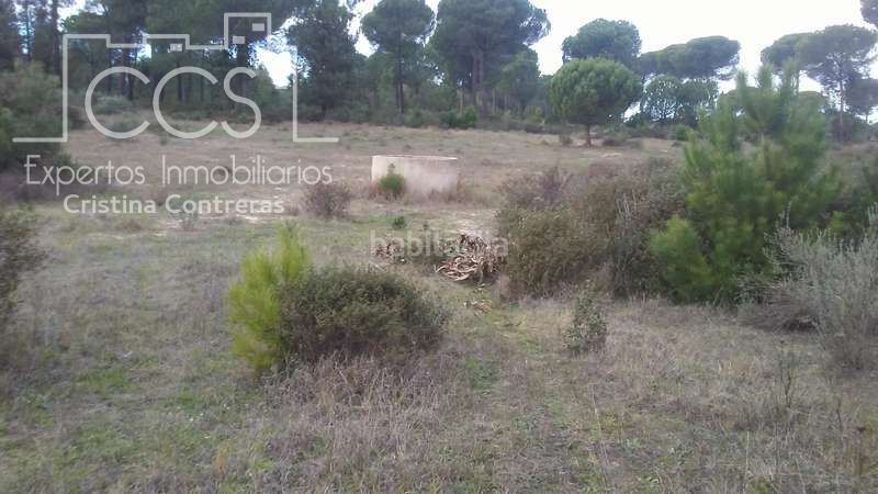 Foto 49b57bc3-5415-4289-9477-1b5086a3d626. Finca rústica a Almonte Almonte