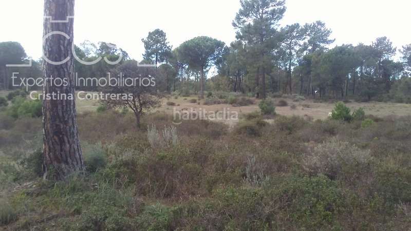 Foto 4aa42b59-0667-4aac-8443-cec6b6c6f04c. Finca rústica a Almonte Almonte