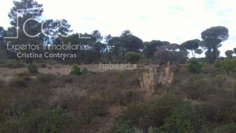 Foto 5ce69a99-07d2-4f1e-b7cc-d426808609da. Finca rústica a Almonte Almonte