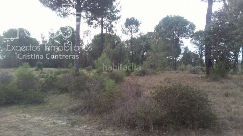 Foto 62fe1d89-eb62-411d-96b0-44f92fd87e7a. Finca rústica a Almonte Almonte