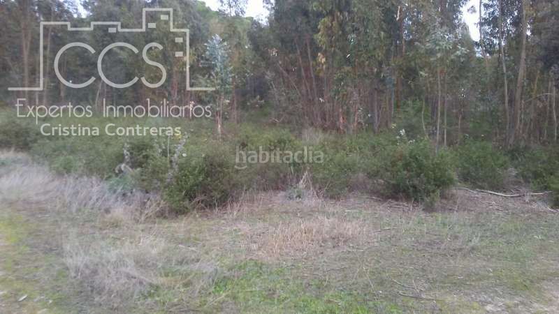 Foto 67a784f0-e387-4590-b149-429a2c6aac8d. Finca rústica a Almonte Almonte
