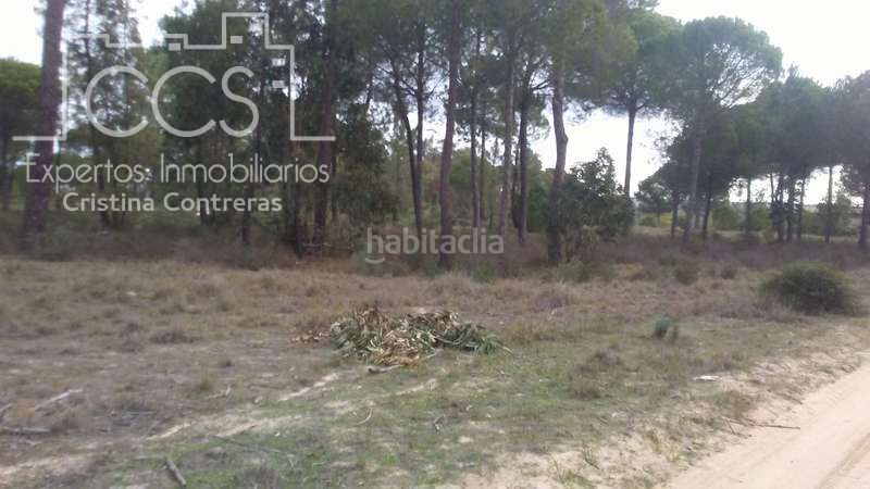 Foto 85510d0b-e33d-4132-94c8-b7f2040ac8b9. Finca rústica a Almonte Almonte