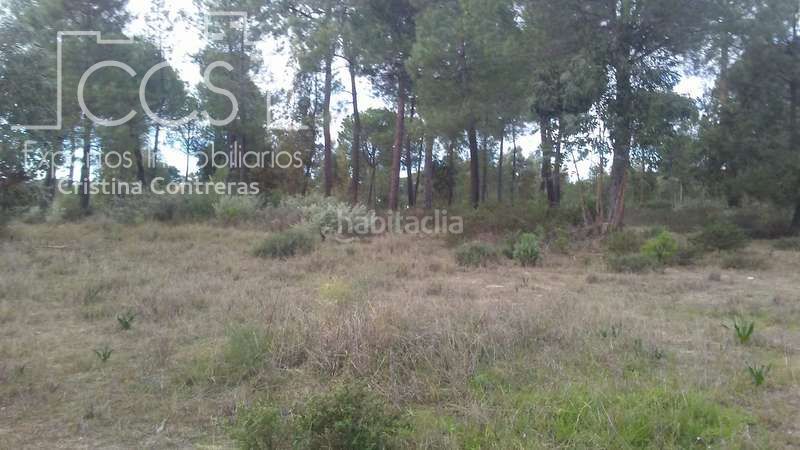 Foto 8e991d42-9166-4dd7-8e63-46693c10382a. Finca rústica a Almonte Almonte