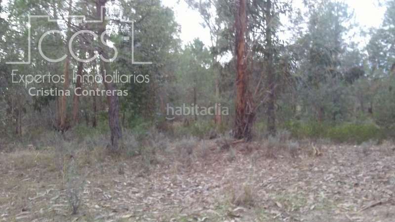 Foto b30ab4da-475d-41e2-8bb5-e99475cb162d. Finca rústica a Almonte Almonte