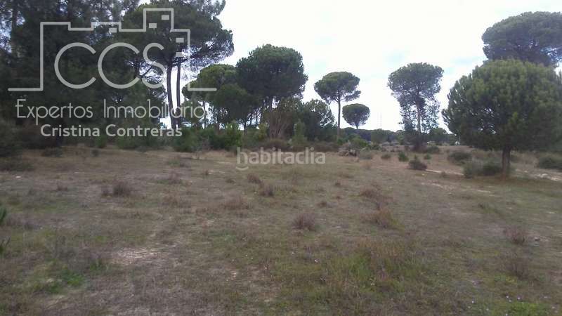 Foto c3458999-5fdf-4d33-9636-6dc2b45503d4. Finca rústica a Almonte Almonte