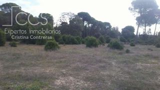 Finca rústica a Almonte