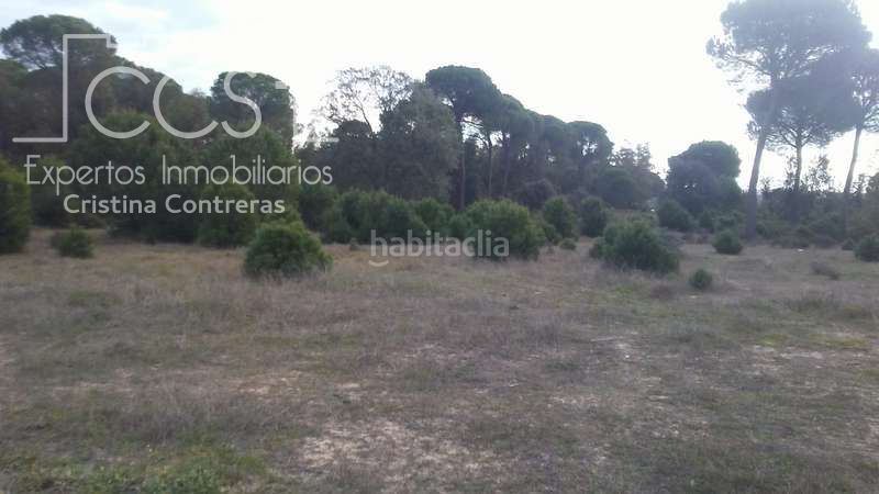 Foto c44ce0fa-7ed4-4bc5-88ef-069024a8d4f0. Finca rústica a Almonte Almonte