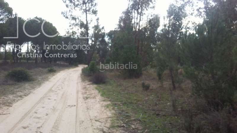 Foto cb86229f-443a-4fd4-9d3a-11fd99bd7339. Finca rústica a Almonte Almonte