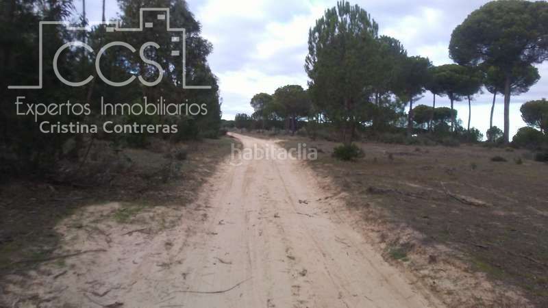 Foto e5fb175b-9c44-4123-a7b6-27f5bd76cbff. Finca rústica a Almonte Almonte