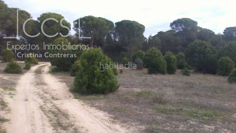 Foto f7ae35c2-9200-40ad-a44c-2f247a8ff840. Finca rústica a Almonte Almonte