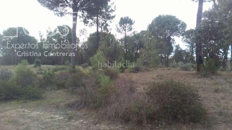 Foto 354ab9d5-87fc-4bbf-a39a-5c0887b331ff. Finca rústica a Almonte Almonte