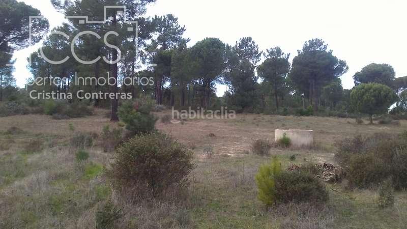 Foto 3f04440f-5506-4285-9172-9fa4b6e0fa3c. Finca rústica a Almonte Almonte