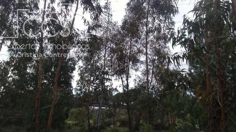 Foto 406e8caf-6c4f-4e76-a638-687b6f8fbff5. Finca rústica a Almonte Almonte