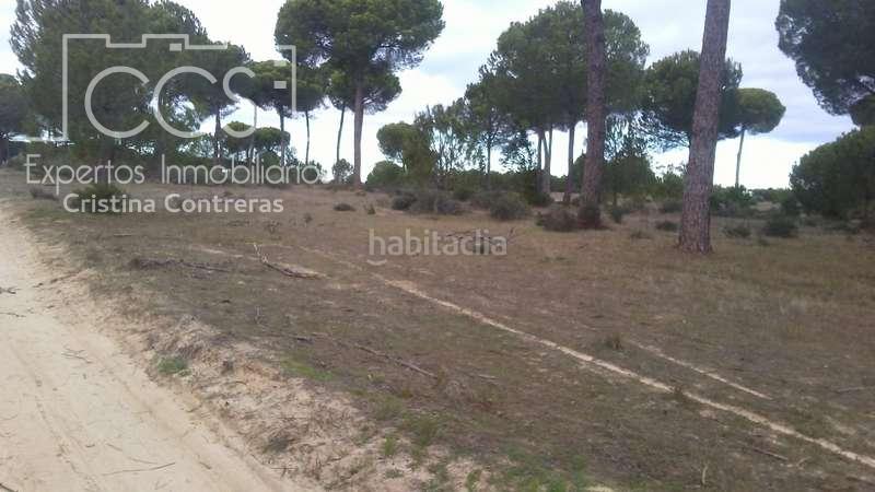 Foto 4aaaba37-d150-41b0-860a-bbbc193f7c45. Propriété dans Almonte Almonte