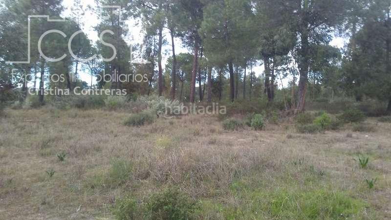 Foto 4db7cf10-dfe4-429e-b136-ece619645ace. Finca rústica a Almonte Almonte
