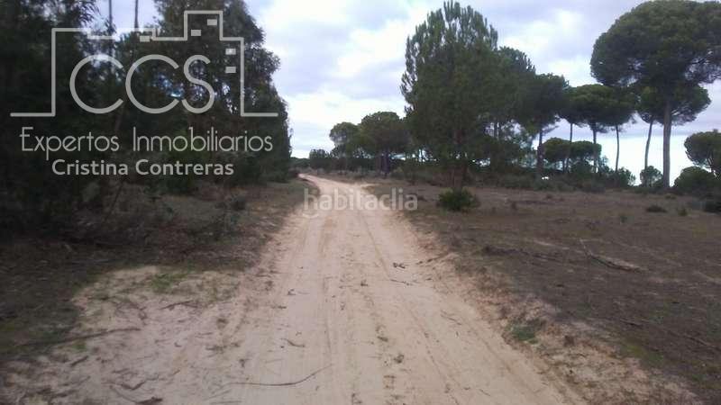 Foto 587d9ccc-c77f-423c-84fb-4118b450cbe8. Finca rústica a Almonte Almonte