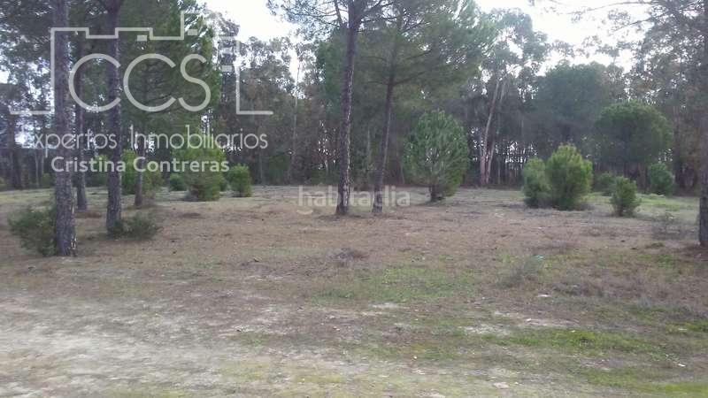 Foto 5b626ed5-ccb4-49a7-9f6c-1ba824d074a4. Propriété dans Almonte Almonte