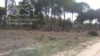 Finca rústica a Almonte. Venta de finca de 8,47 ha, en almonte. en propiedad.