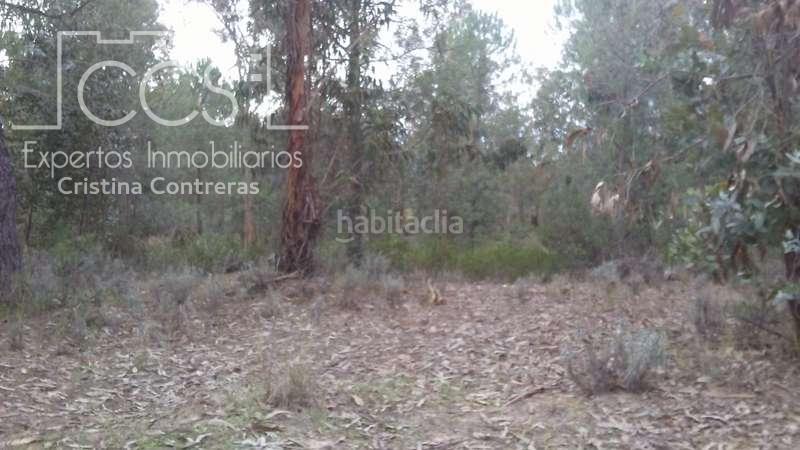 Foto a2ba0f0d-2f0c-42ce-ad96-c77a35059411. Finca rústica a Almonte Almonte