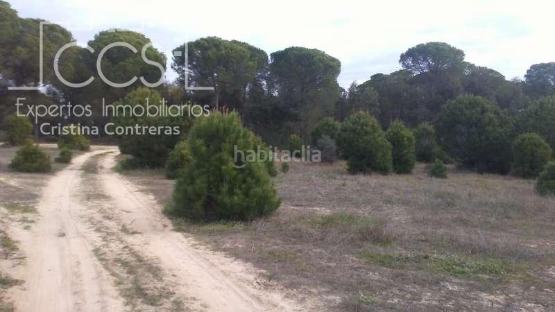 Foto abf51b31-d885-45df-b345-aa12e01f8c04. Finca rústica a Almonte Almonte