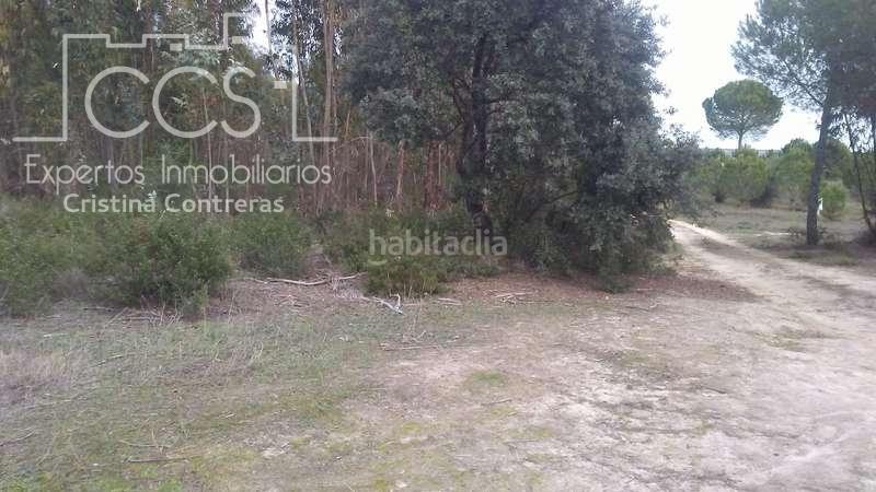 Foto bcadfad7-678f-4022-a823-99ff05c9b983. Finca rústica a Almonte Almonte