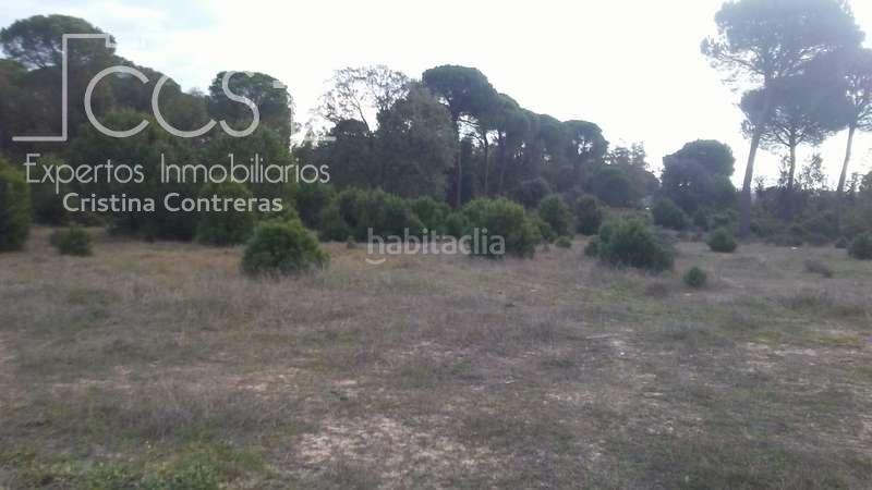 Foto cf50ad88-d2f2-486b-9f55-db4227e3f27d. Finca rústica a Almonte Almonte