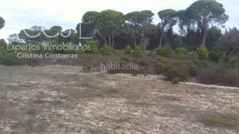 Foto cf5eac40-3a7b-4fcc-8e96-14c4f91b03a6. Finca rústica a Almonte Almonte