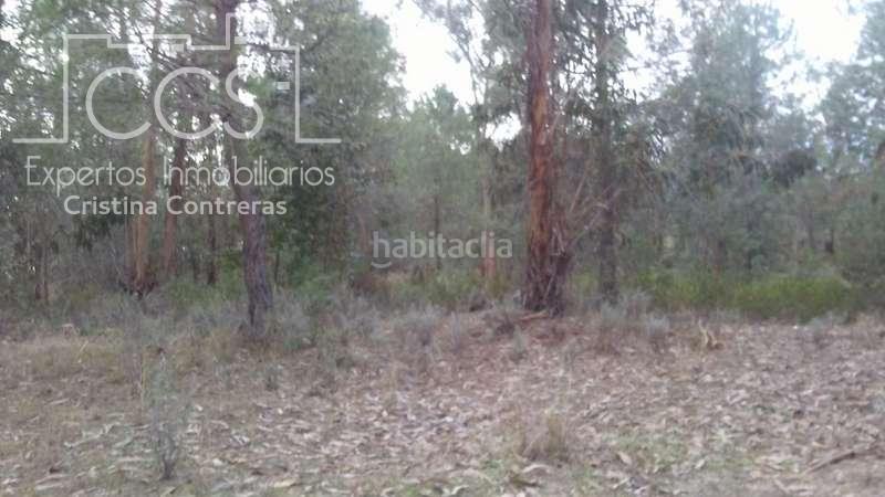 Foto ed764a5f-a66f-43be-a7cf-47e6c1204396. Propriété dans Almonte Almonte