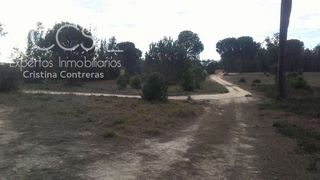Landgut in Almonte. Venta de finca rústica en propiedad de 68.100 m de terreno entre