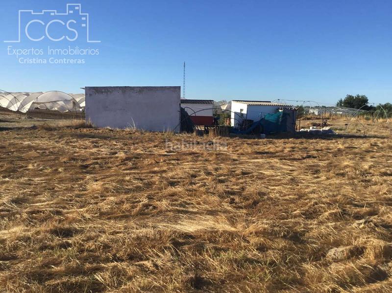 Foto 01b740c9-02e2-4509-9161-cde885d3cc77. Propriété dans Almonte Almonte