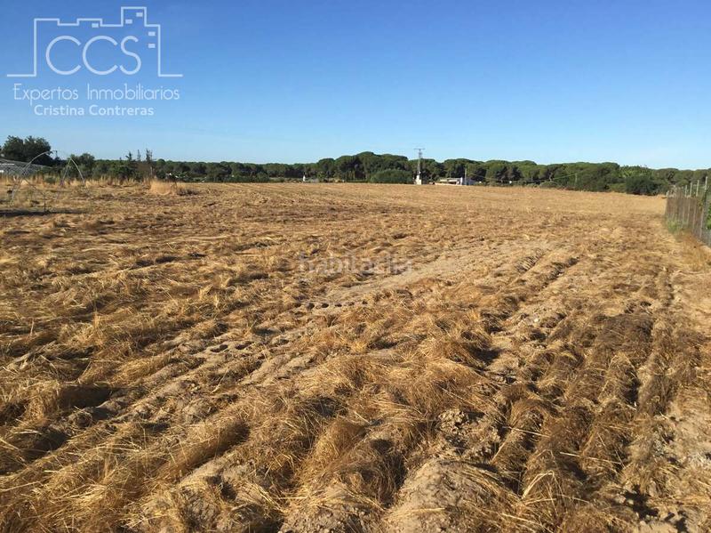 Foto 2ac4f0c3-c623-490b-9539-1c4cea8aa534. Propriété dans Almonte Almonte