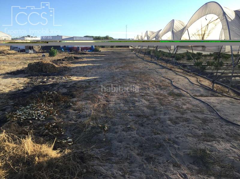 Foto 3d90d234-70a6-4023-9f41-9f7e67912e17. Propriété dans Almonte Almonte