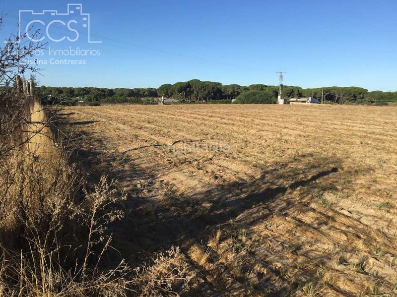 Foto 45f23e06-eea9-4daf-8889-597d6c3a61d9. Propriété dans Almonte Almonte