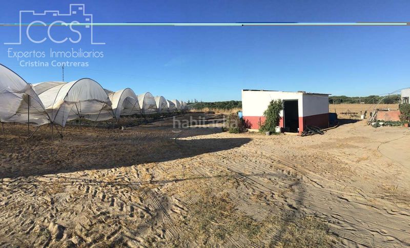 Foto 54e7dee3-c4e3-4e0b-8d78-04b5df5c9d75. Finca rústica a Almonte Almonte
