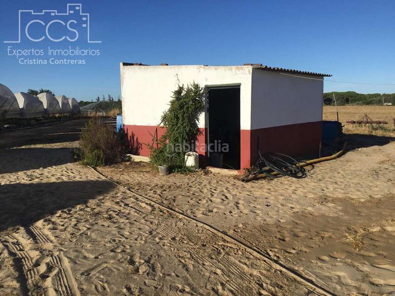 Foto 5ba3157f-8a81-45e1-aa83-f21f10cf849b. Propriété dans Almonte Almonte