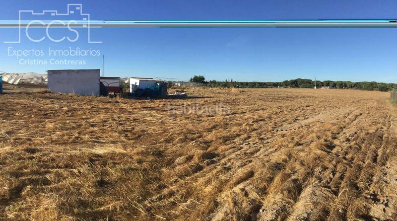 Foto 5d7139ec-a3c2-4bfc-a89a-50e7d6bd0670. Propriété dans Almonte Almonte