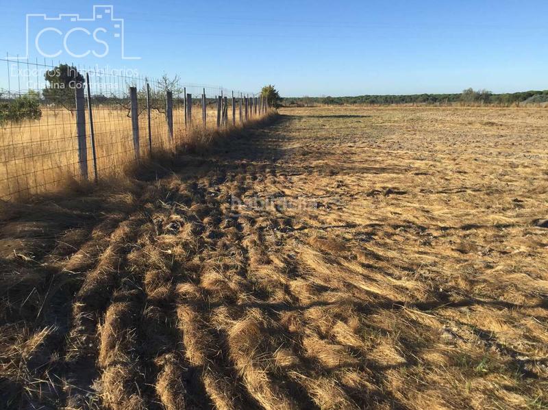 Foto 5e93f688-aeb6-4902-b042-f0aaddbc6f4a. Propriété dans Almonte Almonte