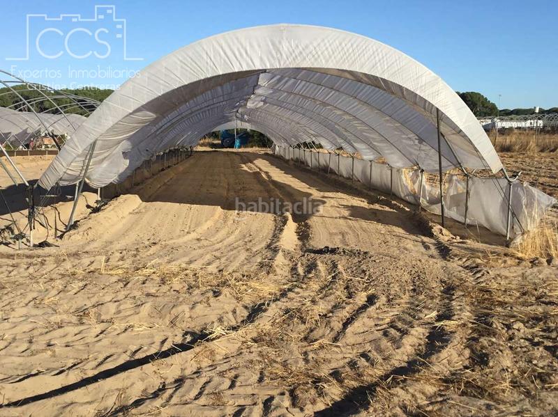 Foto 6bb4f0c3-f13c-4454-87f0-3e4b5cb1aa38. Propriété dans Almonte Almonte