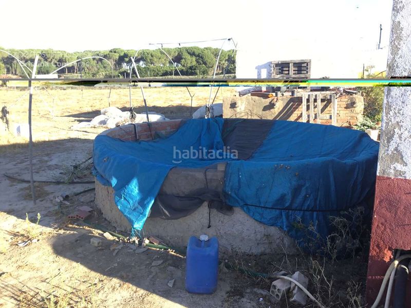 Foto 91a8885a-6370-4dd5-a811-ed8778155297. Finca rústica a Almonte Almonte