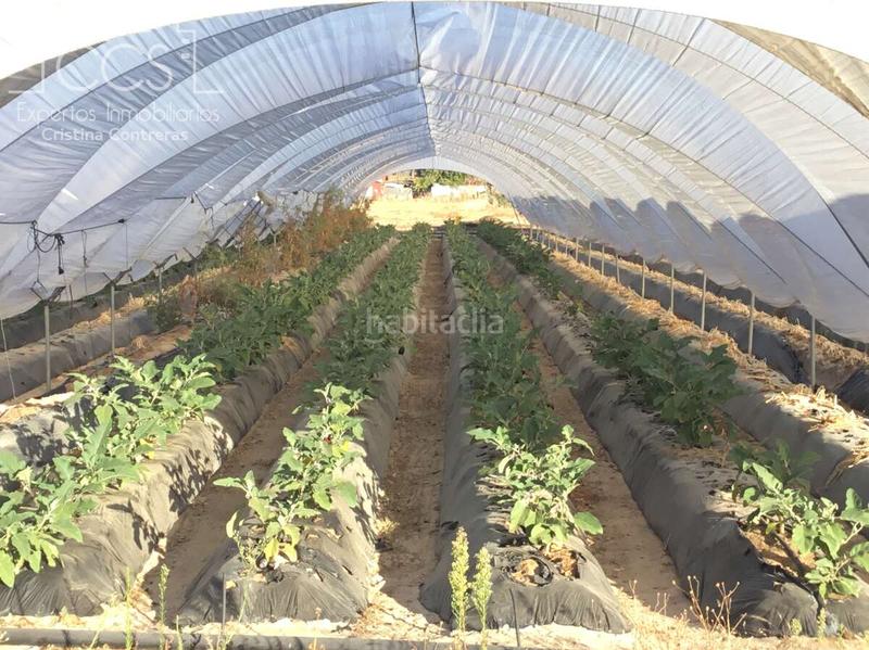 Foto 96fda119-893a-4cde-9321-5f7ede70cd54. Propriété dans Almonte Almonte