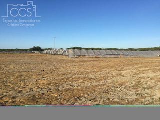 Propriété à Almonte. Venta de finca en concesión de 4 ha de regadío al 100 en almonte